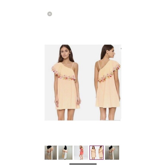 Piper One Shoulder  Ruffle Tassel Flirty Boho Mini Dress Peach Color Sz Small - Picture 1 of 9